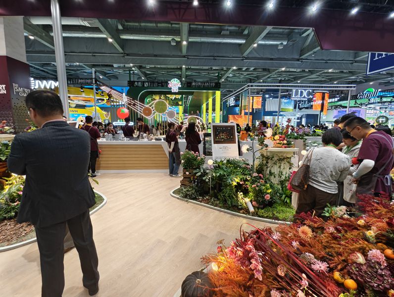 坦桑尼亞展臺設(shè)計搭建